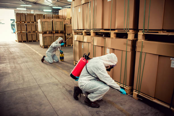 Best Affordable Pest Control Services  in Nolanville, TX