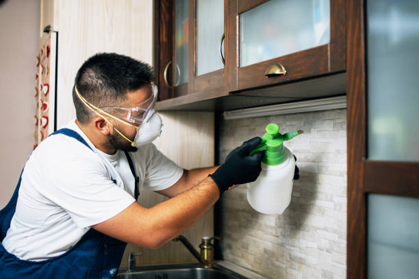 Best Residential Pest Control  in Nolanville, TX