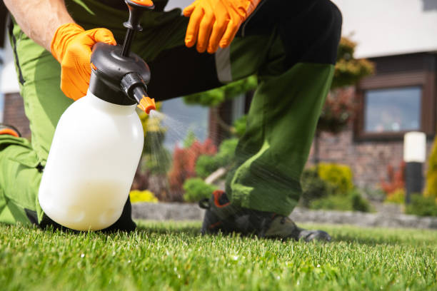 Best Emergency Pest Control  in Nolanville, TX