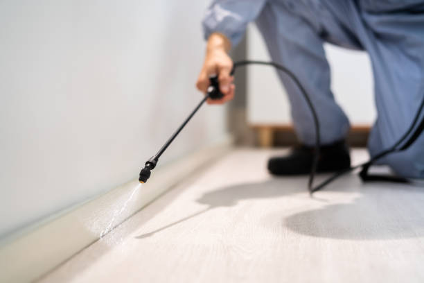 Professional Pest Control in Nolanville, TX