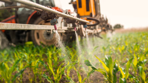 Best Commercial Pest Control Services  in Nolanville, TX